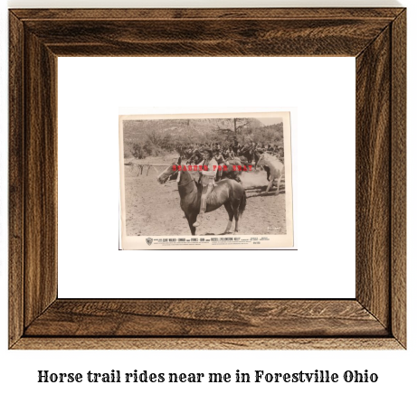 horse trail rides near me in Forestville, Ohio